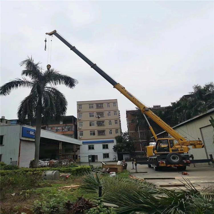 凭祥吊车吊大树几种方法